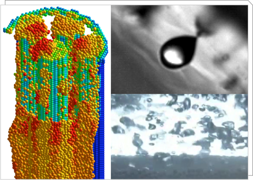 守田・劉研究グループ