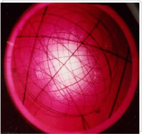 藤本・松浦研究グループ